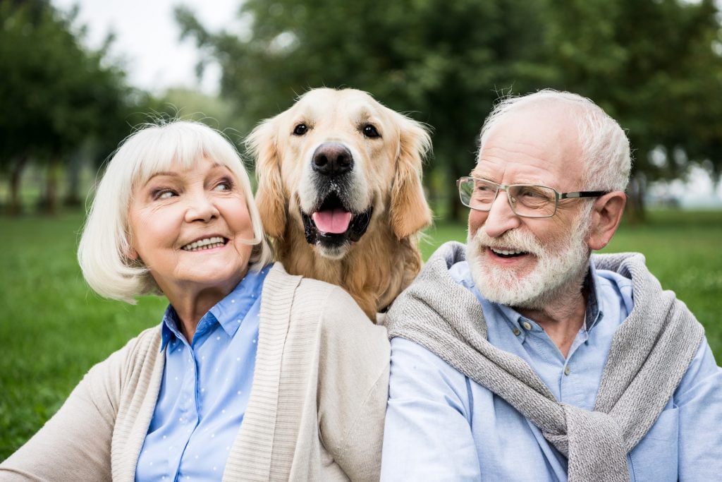 caring-for-older-dogs-1024×683