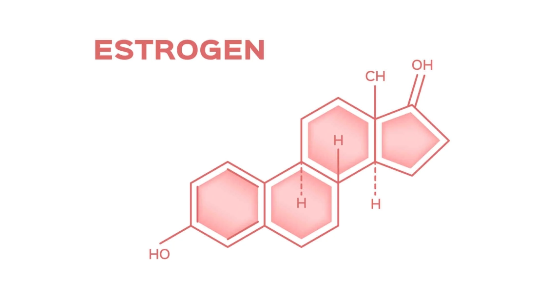 What_is_Estrogen-squashed (1)